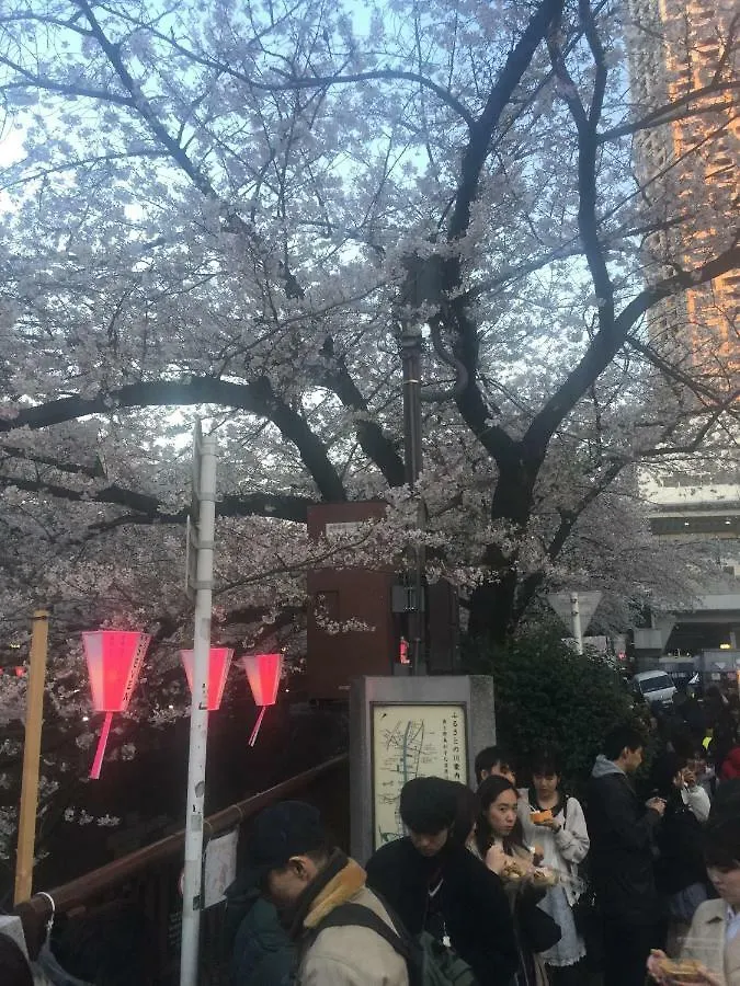 Appartamento Coco Nakameguro302 Tokyo
